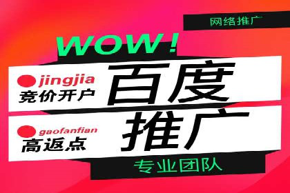 SEM托管实战：某电商平台的成功经验